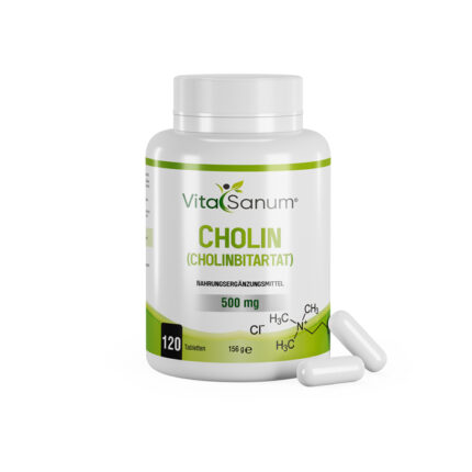 VitaSanum® - Cholin (CHOLINBITARTAT) 500 mg 120 Tabletten